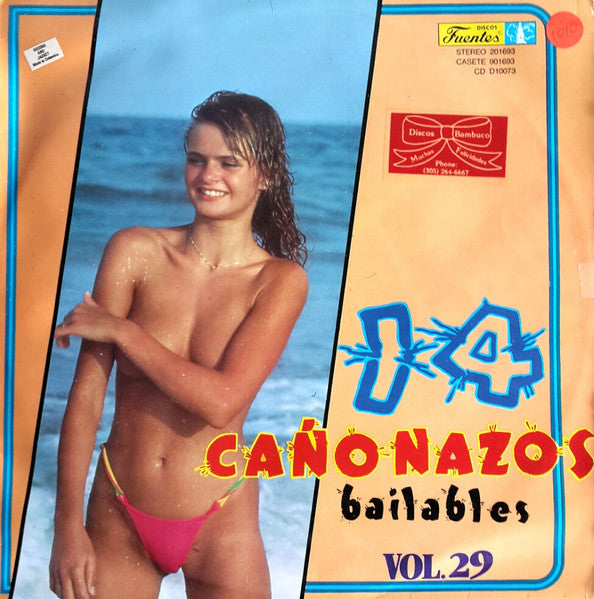 Various - 14 Cañonazos Bailables Vol. 29
