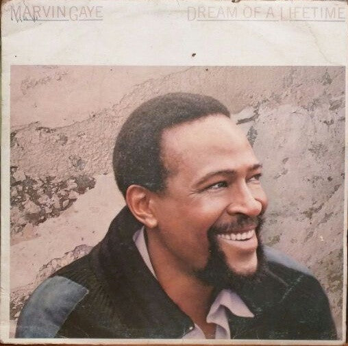 Marvin Gaye - Dream Of A Lifetime