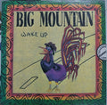 Big Mountain - Wake Up