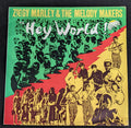 Ziggy Marley And The Melody Makers - Hey World